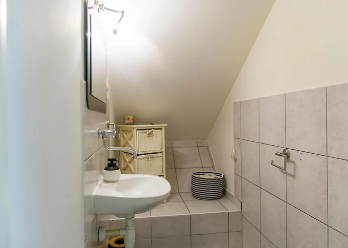 Appartement Yellow Split